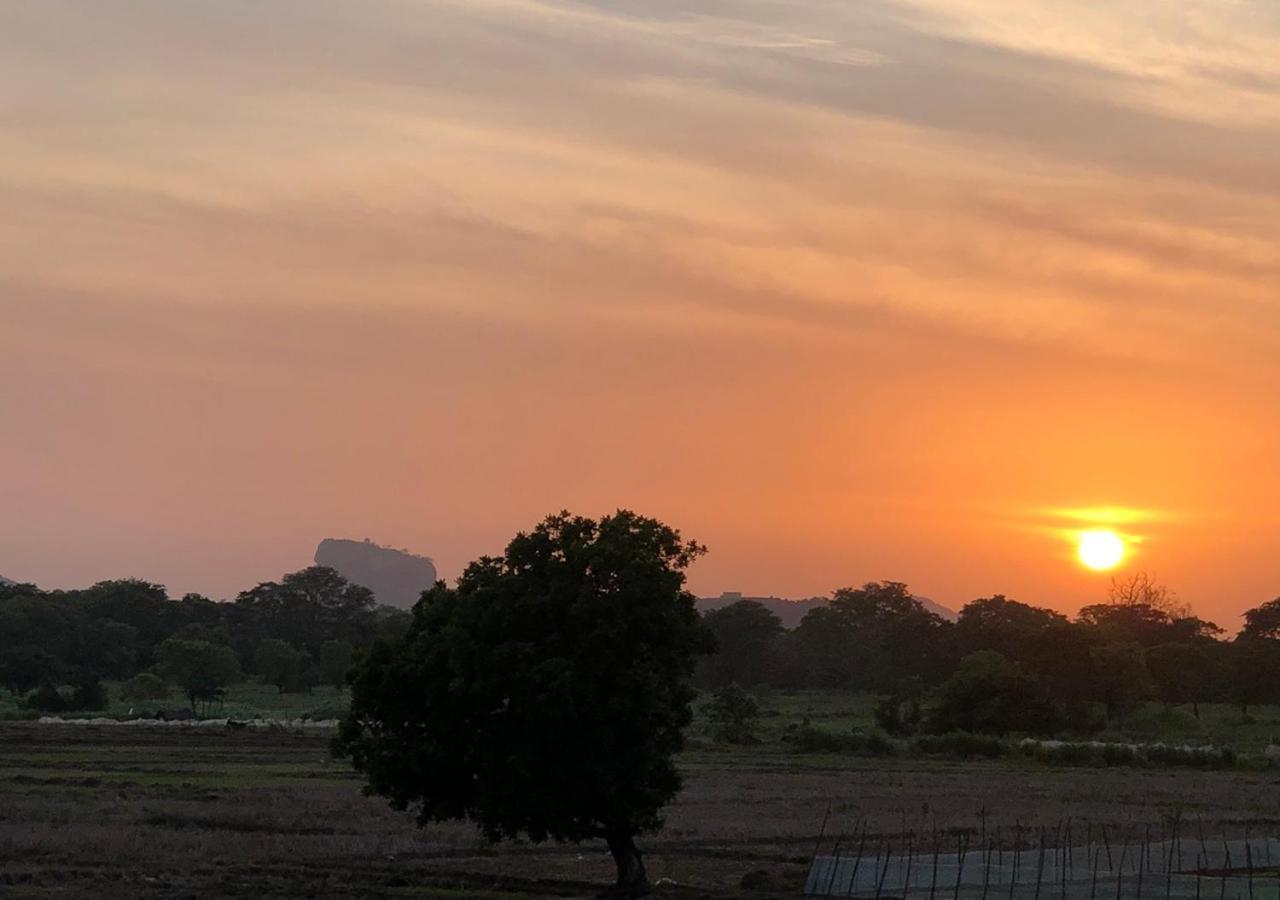 Atteriya Sigiriya Otel Dış mekan fotoğraf